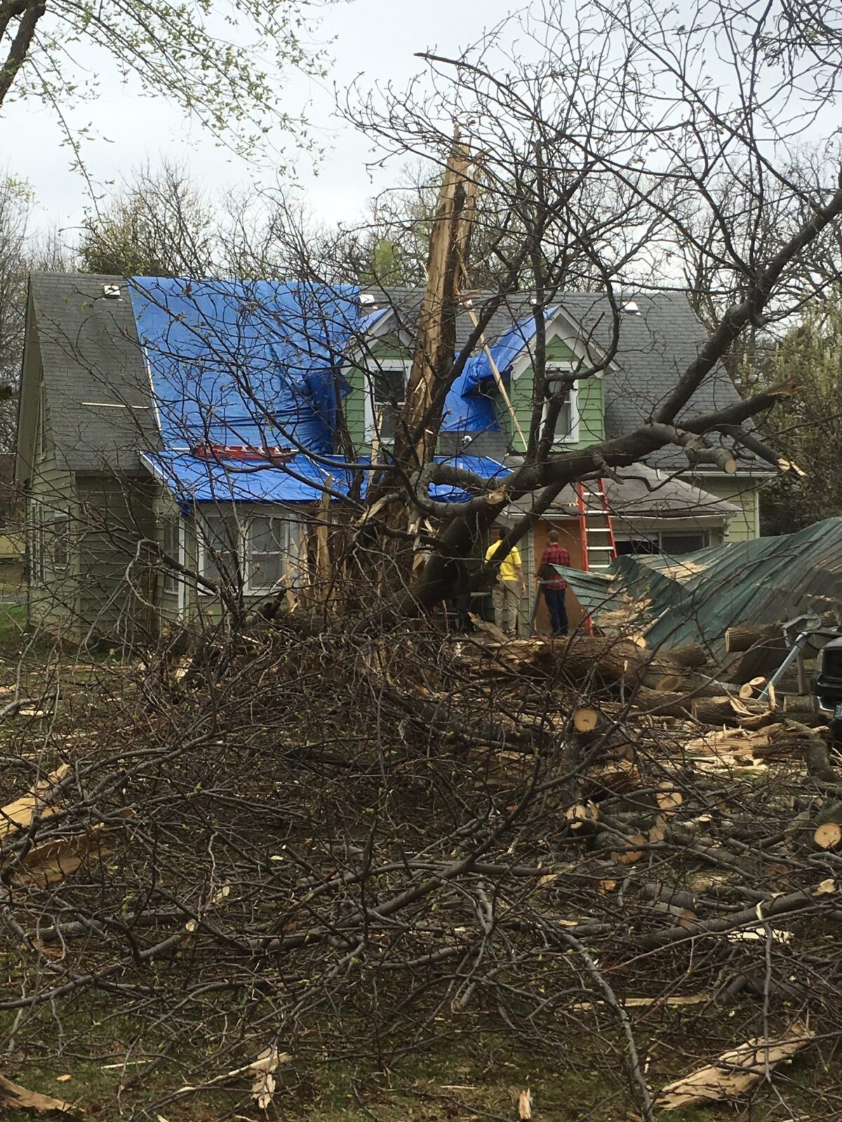 A lightning-shattered tree in front of a house whose damaged roof is covered with blue tarps, cut limbs piled in the yard.