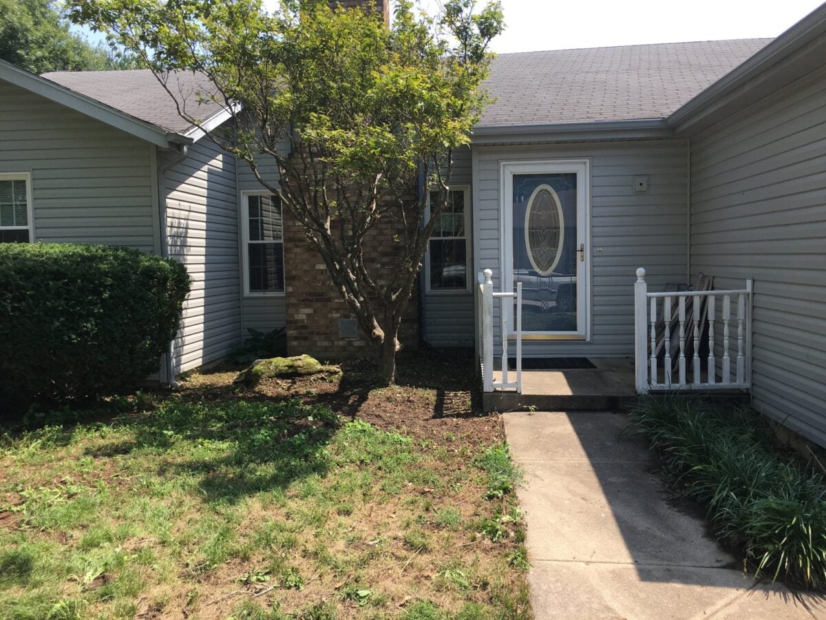 The same tree trimmed and raised, the front door, porch and windows open again