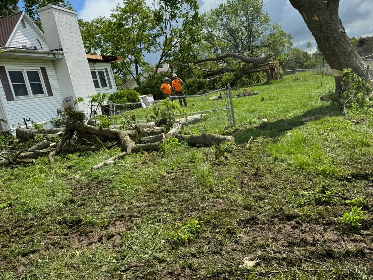 Storm cleanup in a yard: a grapple claw overhead, a snapped tree leaning over the lawn and two Trufast crew by the fence