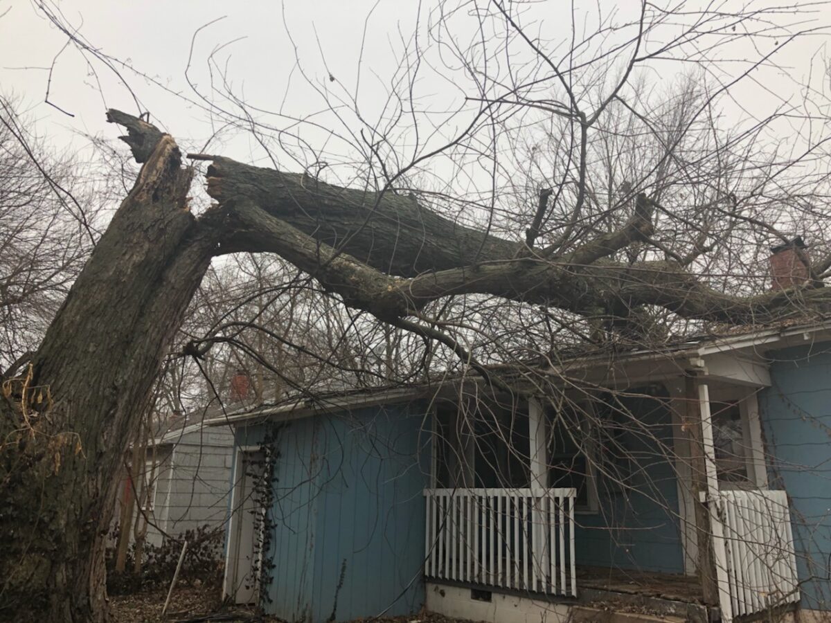 A large tree split at the trunk and fallen across the roof of a blue house