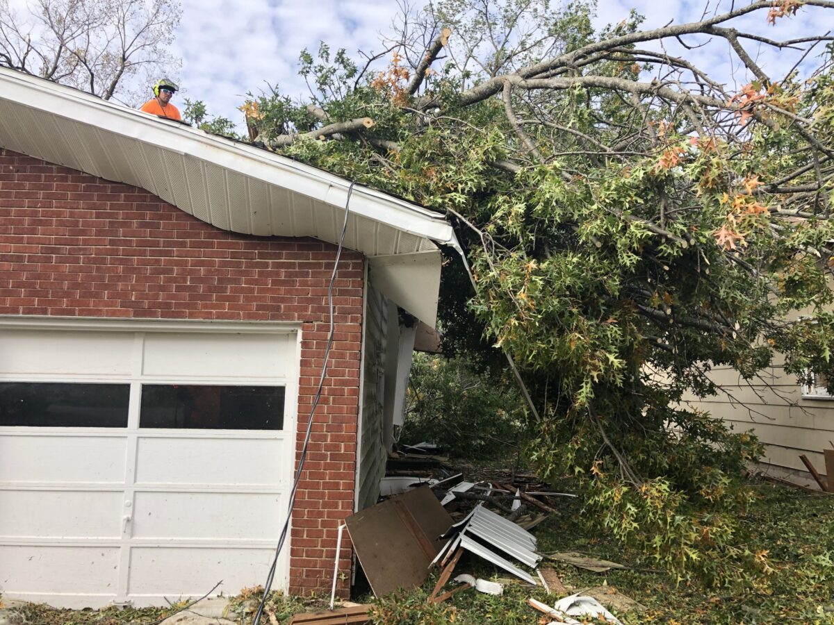 A big storm-felled tree lying across a brick garage and house, its door crushed in, with a Trufast crew member up on the roof starting the cut.
