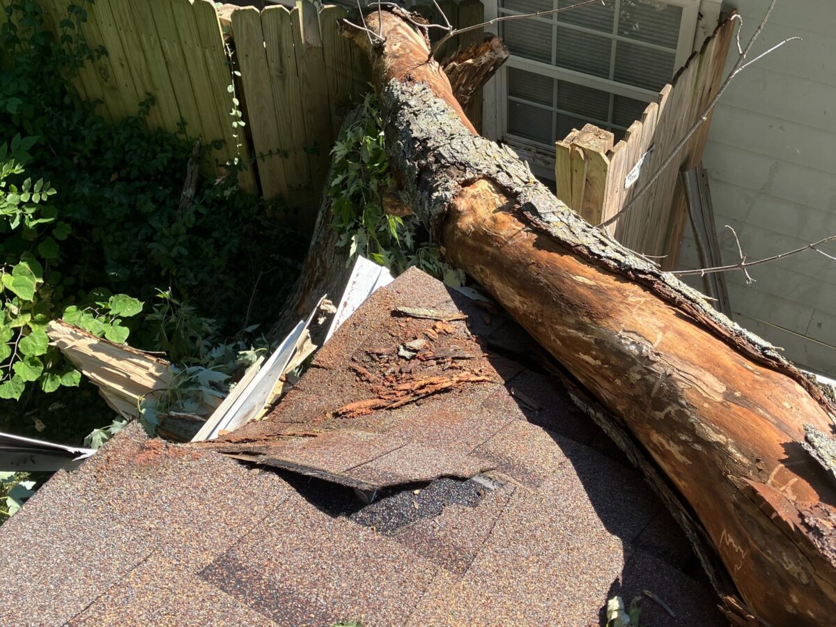 A storm-felled trunk lying across a crushed roof with broken shingles, a smashed fence behind it