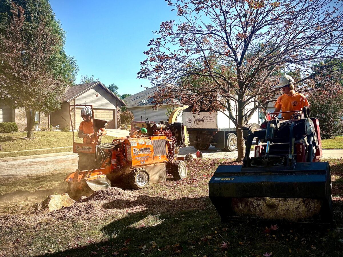Two Trufast crew members at work on a front-yard stump, one running a Bandit stump grinder while the other brings in a compact loader to haul the grindings, with the lettered truck behind.