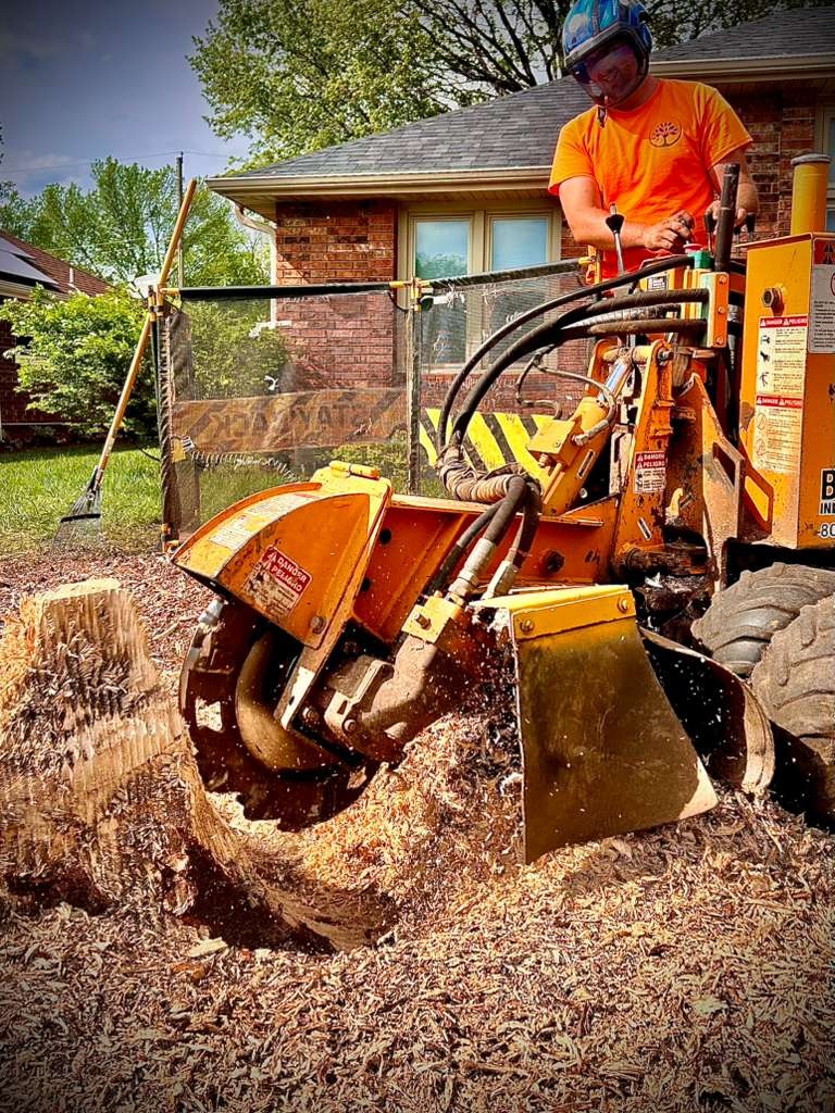 Trufast crew member running a stump grinder through a stump, with a debris screen set up to protect the house