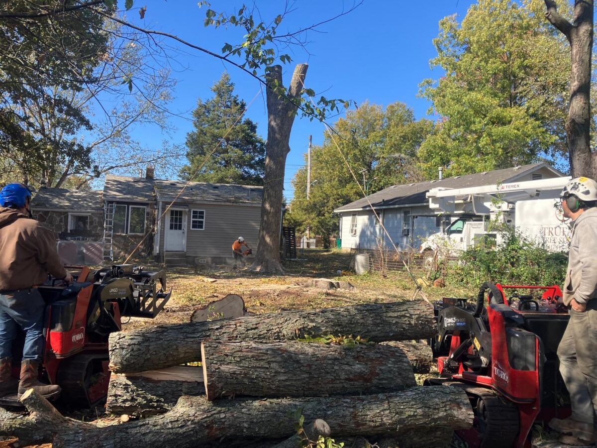 Trufast crew taking down the last standing trunk, with two compact loaders and a stack of cut logs in the foreground