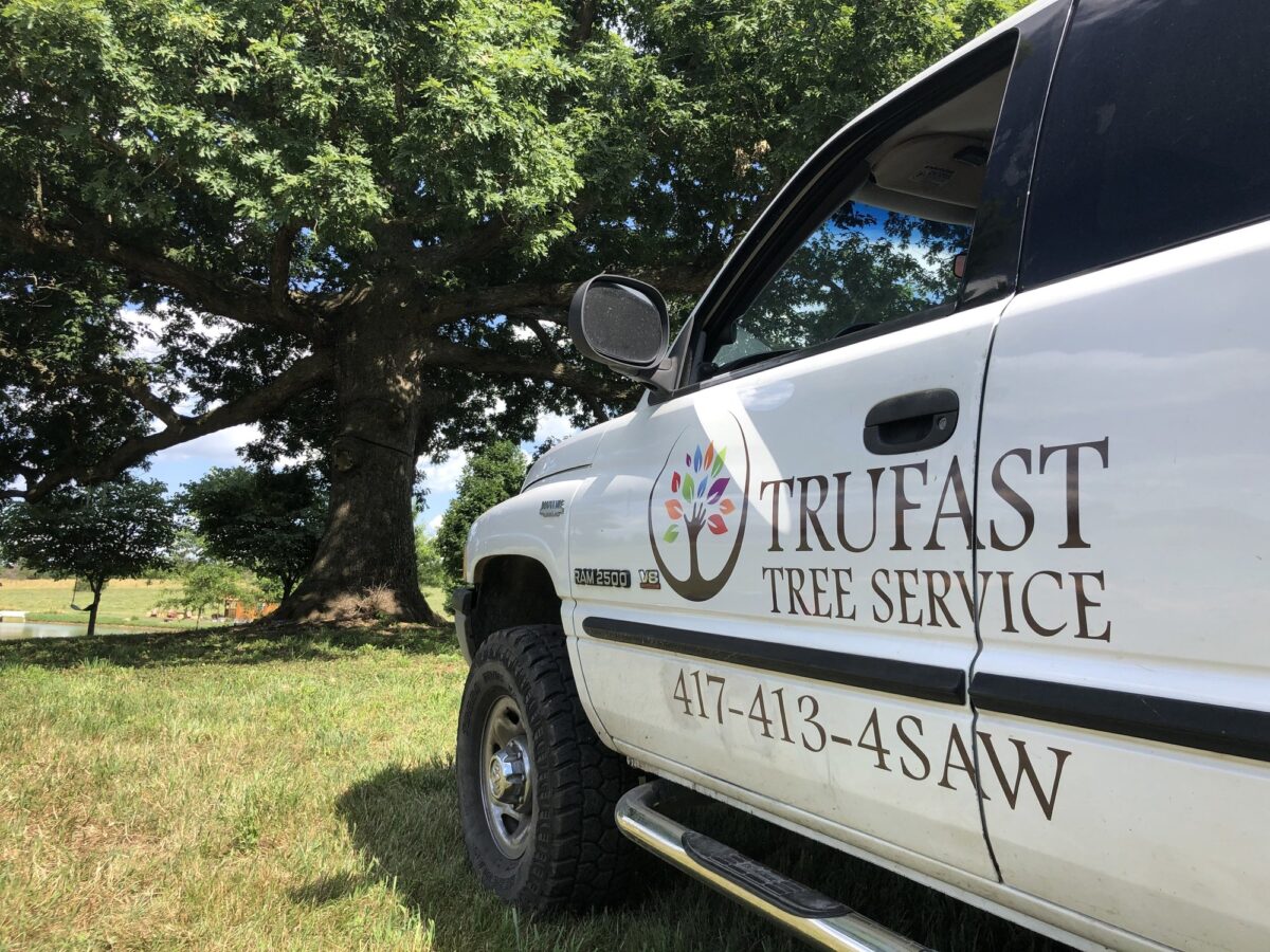 A Trufast Tree Service pickup with the logo and 417-413-4SAW on the door, parked under a big spreading oak