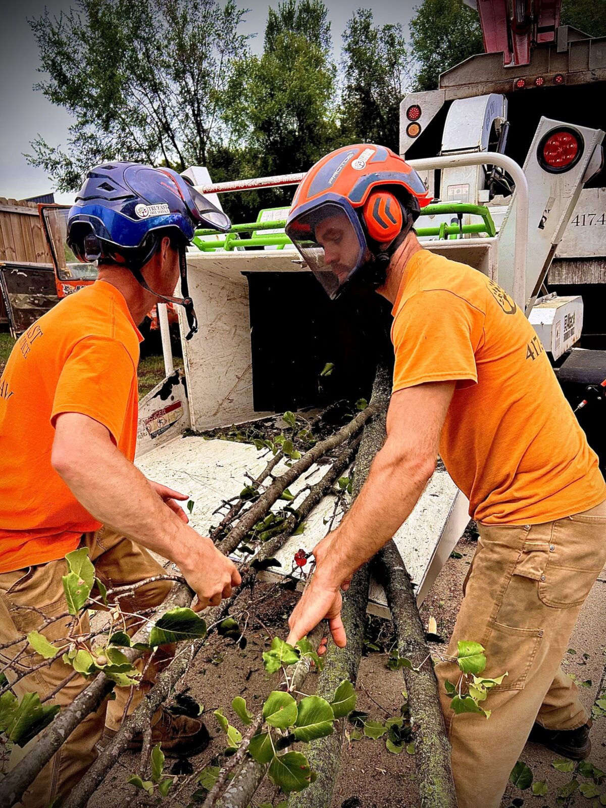 Two Trufast crew in helmets and face shields feeding fresh-cut limbs into the chipper
