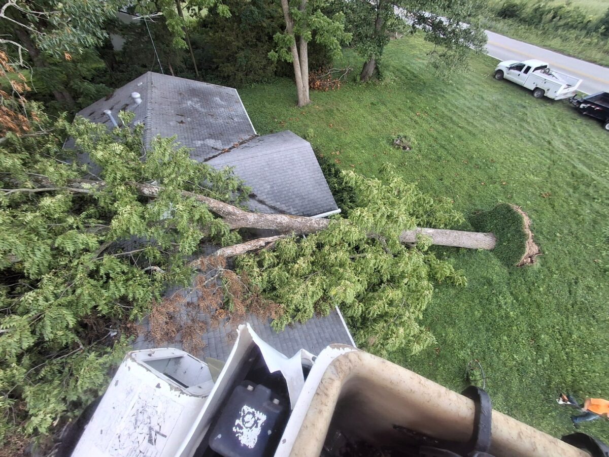 Uprooted tree lying across a house roof after a storm, seen from a Trufast bucket truck
